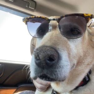 Meet your Posher, Silis